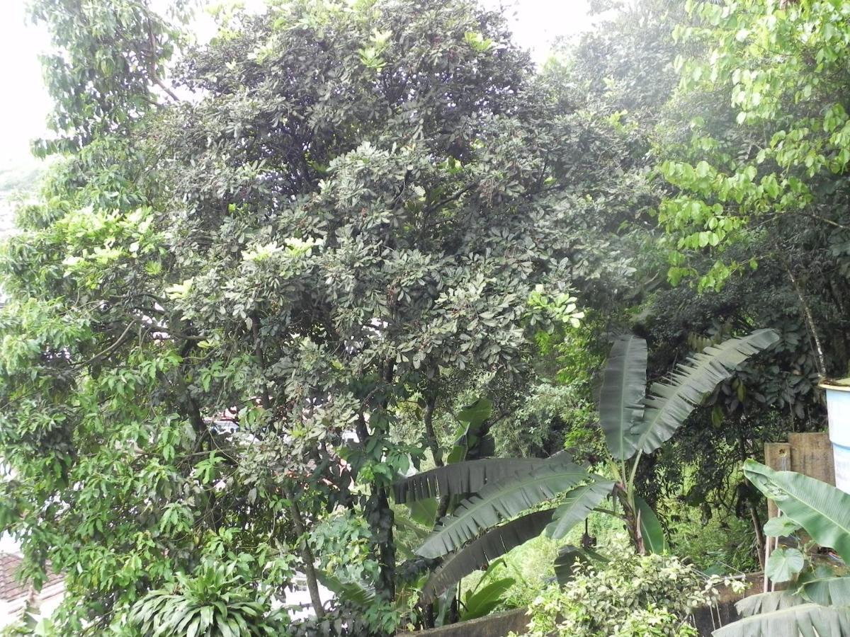 Aconchego Serra Imperial -201 Petropolis  Ngoại thất bức ảnh