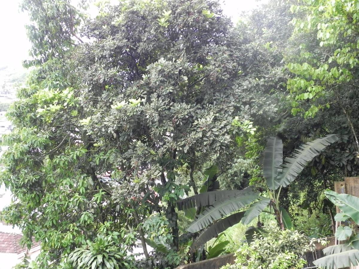 Aconchego Serra Imperial -201 Petropolis  Ngoại thất bức ảnh